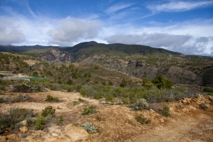 Arico - Barranco Tamayada