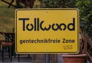 Tollwood - gentechnikfreie Zone