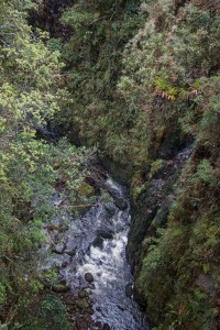 Fahrt von San Augustin nach Popayán auf einer Piste - wir fahren durch dichten Urwald und überqueren tiefe Schluchten