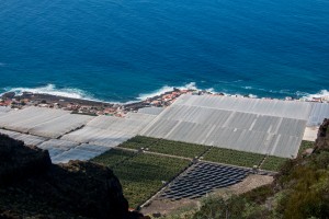 Blick auf Solar und Bananenfelder an der Küste - El Remo