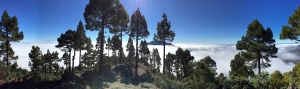 Caldera - über den Wolken mit Blick auf den Vulkan Desehada II